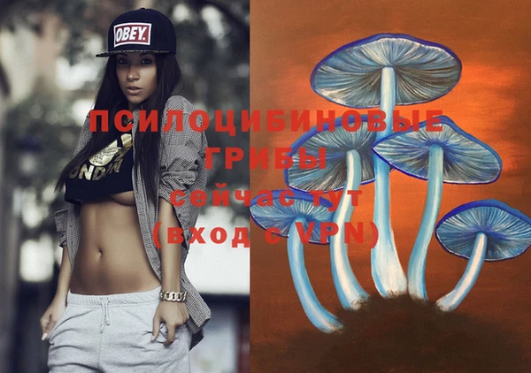MDMA Козловка