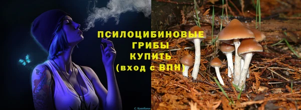 Альфа ПВП Козельск
