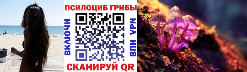 цена Лосино-Петровский Галлюциногенные грибы Cubensis
